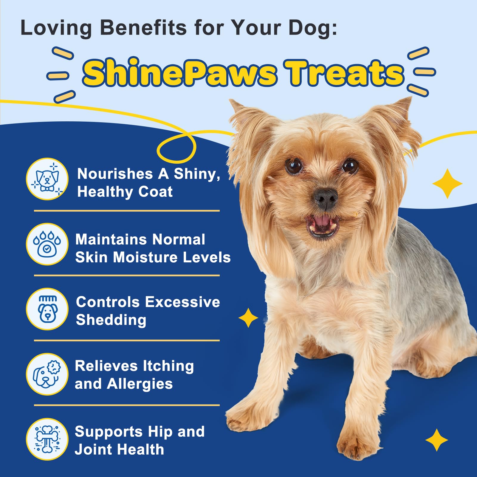 SHINEPAWS comparaison taille chew et pièces de monnaie pour échelle