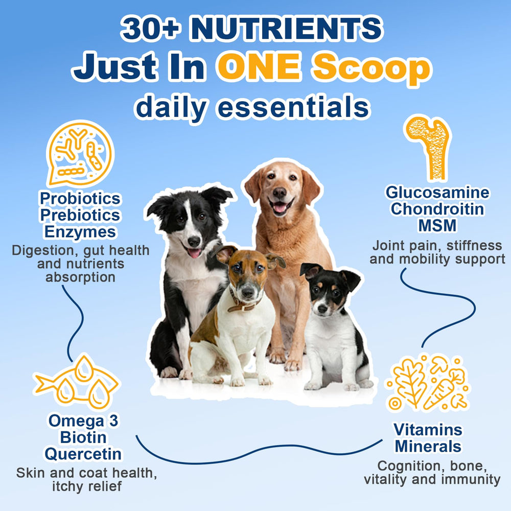 SHINEPAWS gros plan ingrédients naturels pour soutien nutritionnel