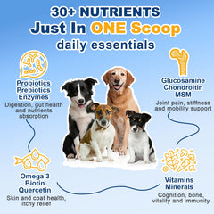 SHINEPAWS gros plan ingrédients naturels pour soutien nutritionnel