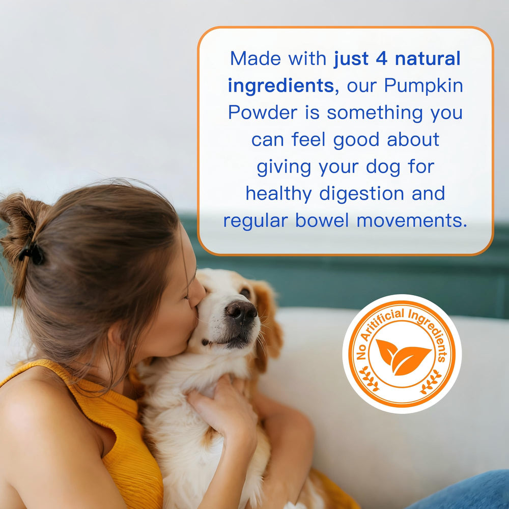 SHINEPAWS scène lifestyle chien et chat profitant d'un repas attractif