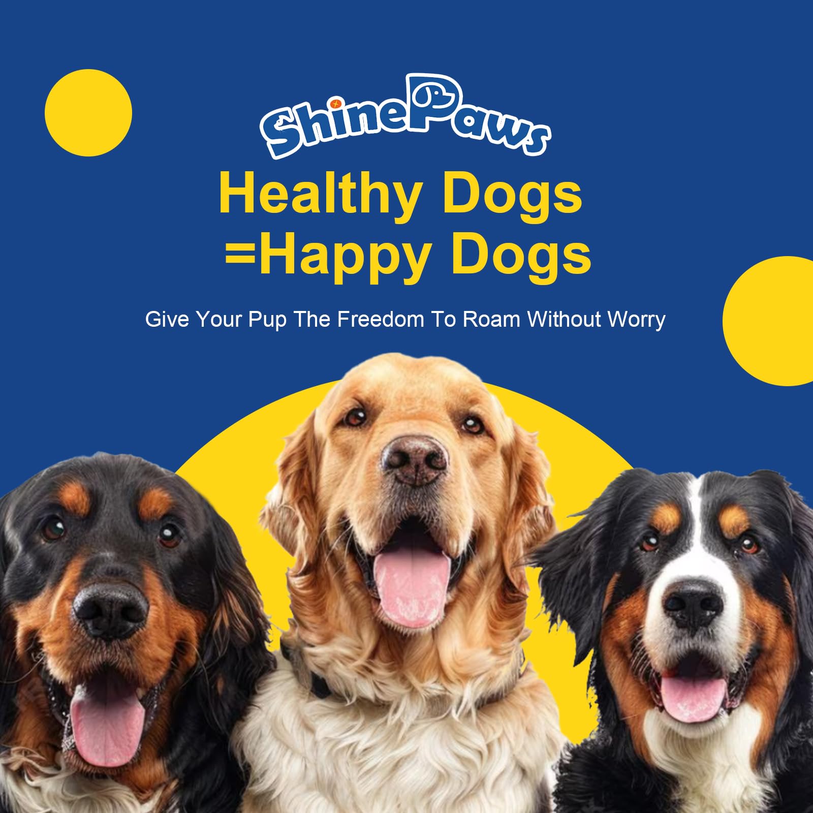 SHINEPAWS sachet ouvert montrant contenu croquant et appétence