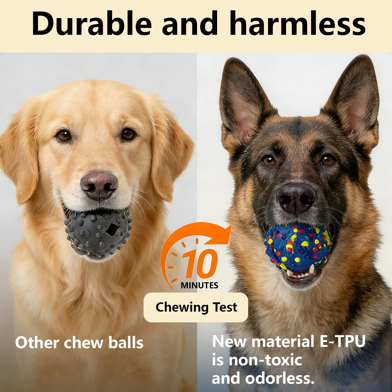 Shiriti en action avec chien courant, stimule l'activité et la chasse