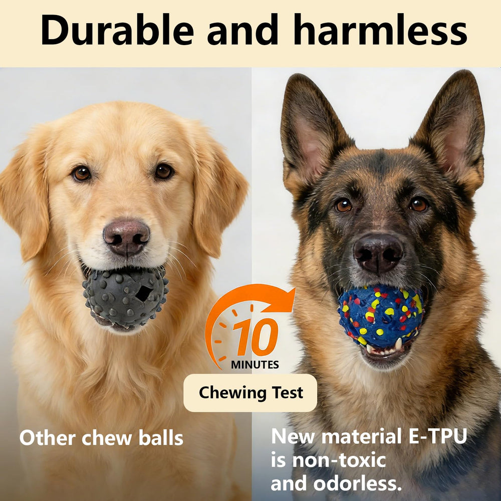 Shiriti en action avec chien courant, stimule l'activité et la chasse