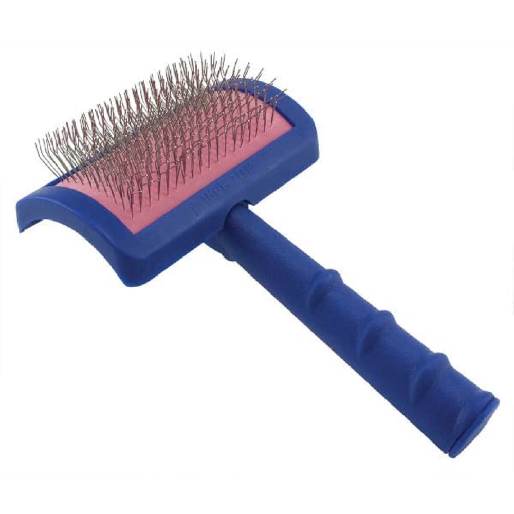 Show Tech brosse vue face montrant forme compacte et efficacité