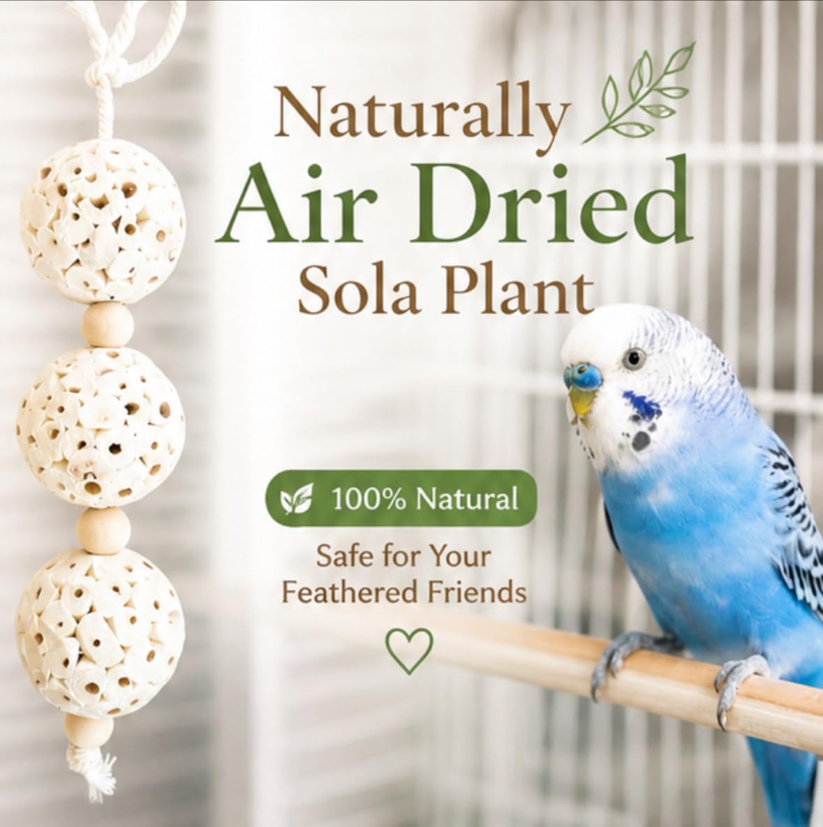 Generic petit oiseau mâchant la boule sola pour divertissement actif