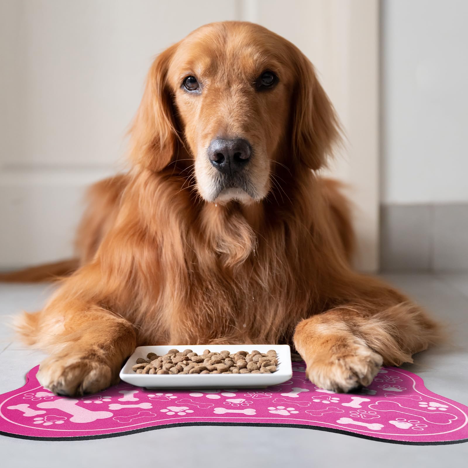 SHUNLCD tapis dans salle à manger montrant élégance et fonctionnalité