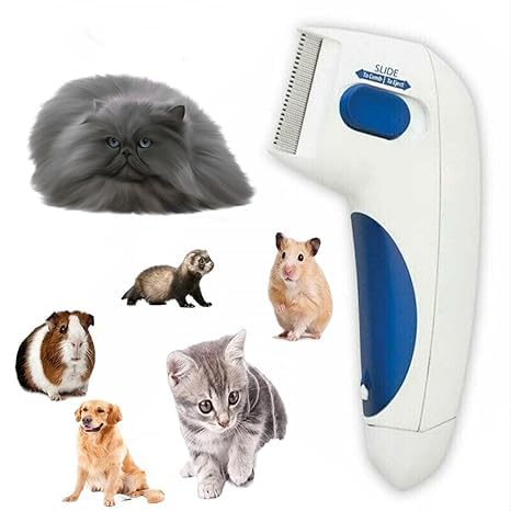 SHXMWINSY peigne électrique face avant montrant design compact pour brossage pratique