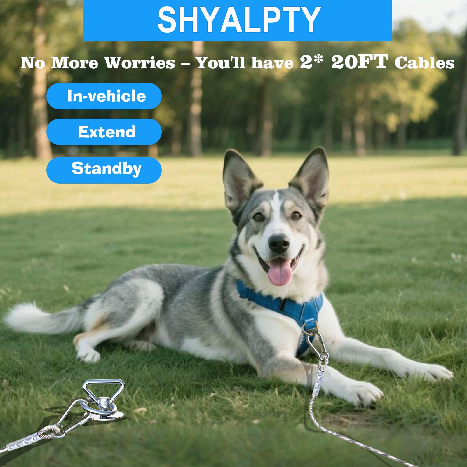 SHYALPTY piquet au sol à côté d'un objet pour comparaison d'échelle pratique