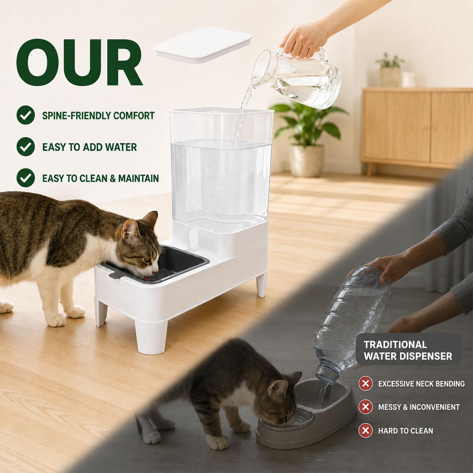 SHYOOEA installée dans un salon illustrant usage quotidien par un chat