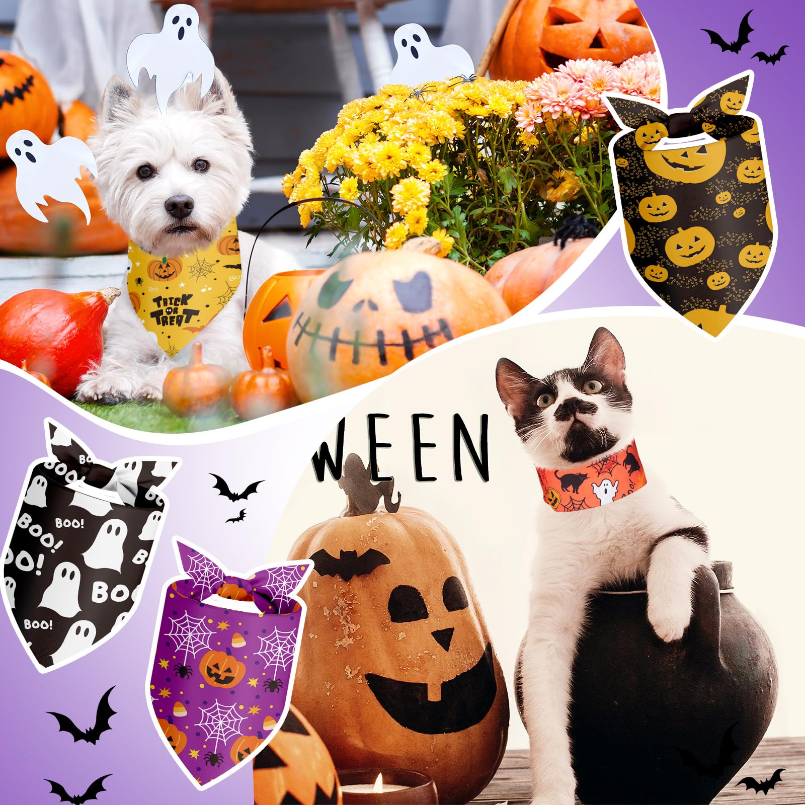 Shyyween gros plan sur les motifs Halloween nets, visuel attractif pour photos