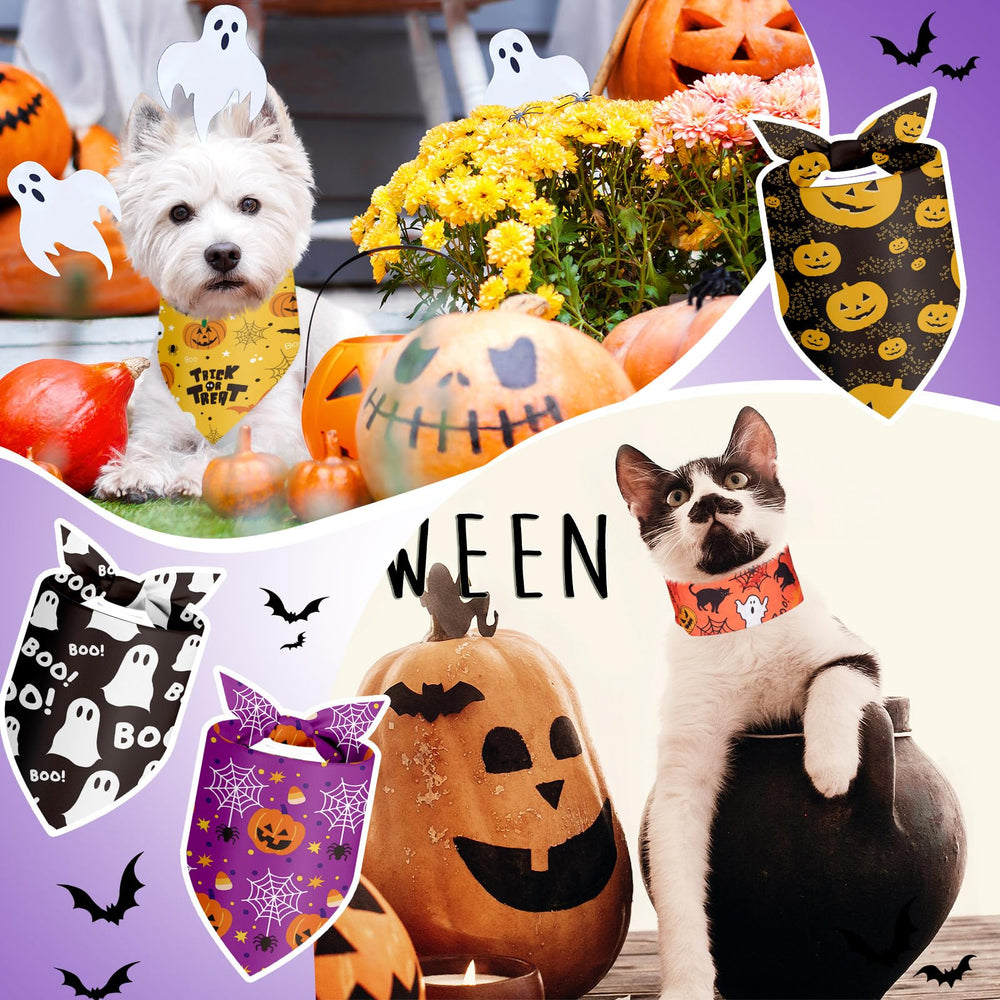 Shyyween gros plan sur les motifs Halloween nets, visuel attractif pour photos