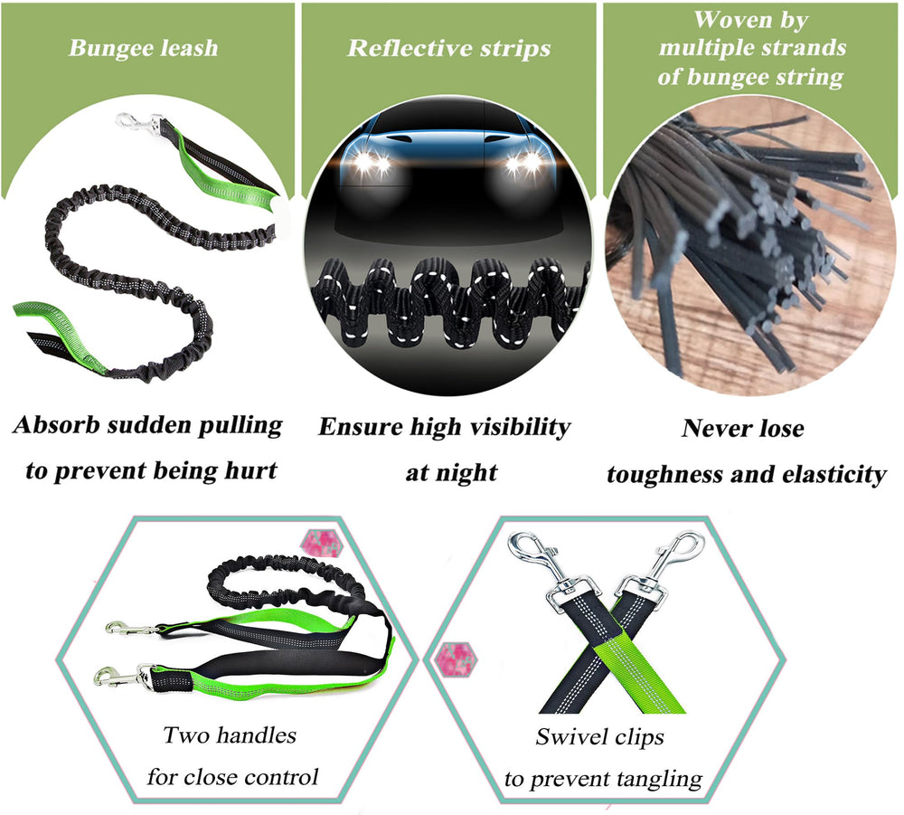 SIAELT laisse bungee gros plan montrant absorption des à-coups et confort