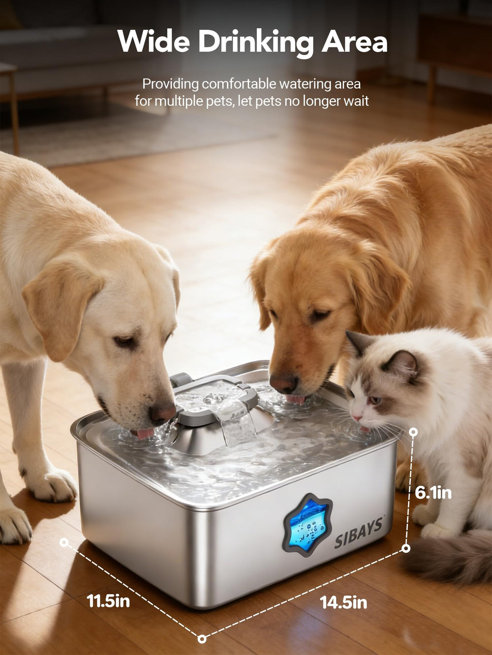 SIBAYS fontaine en situation salon pratique pour multi-animaux