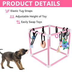 sibosen chiot jouant avec jouet suspendu pour diversion active