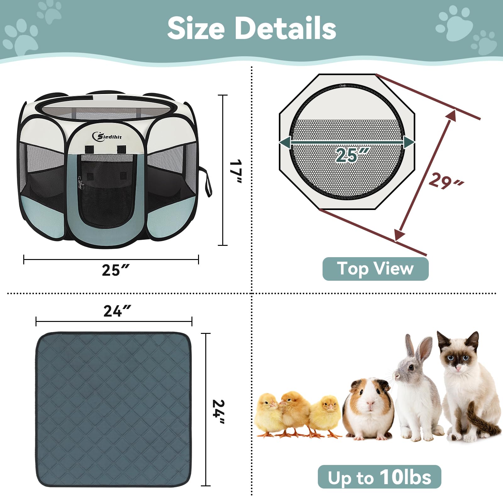 Siedihit petit chien à l'intérieur pour confort en extérieur