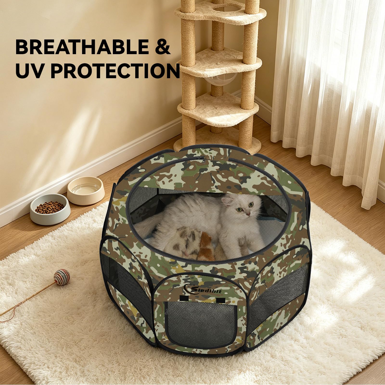 siedihit chien à l'intérieur confort et espace de repos visible