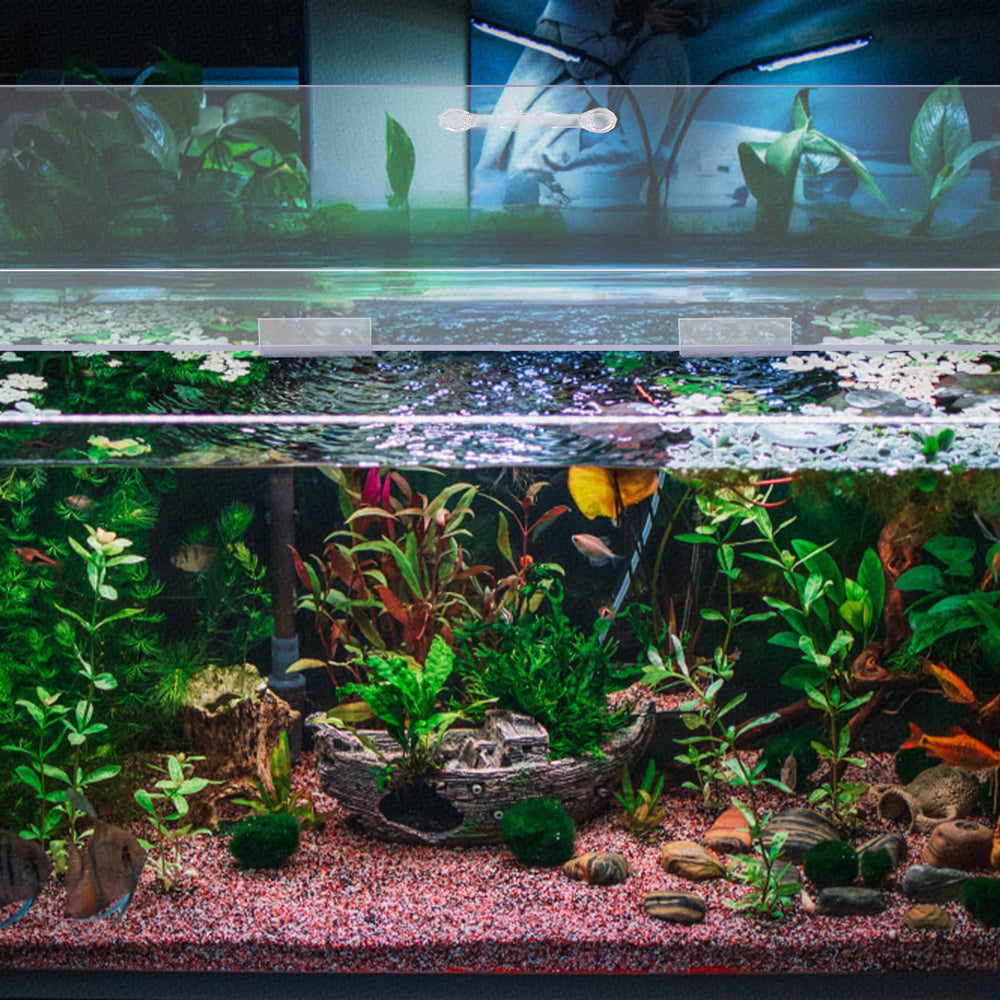 Sieral couvercles installés sur aquarium, visibilité et entretien facilités