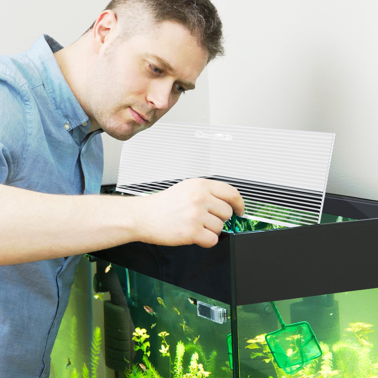 Sieral couvercle sur aquarium ambiance soignée et visibilité