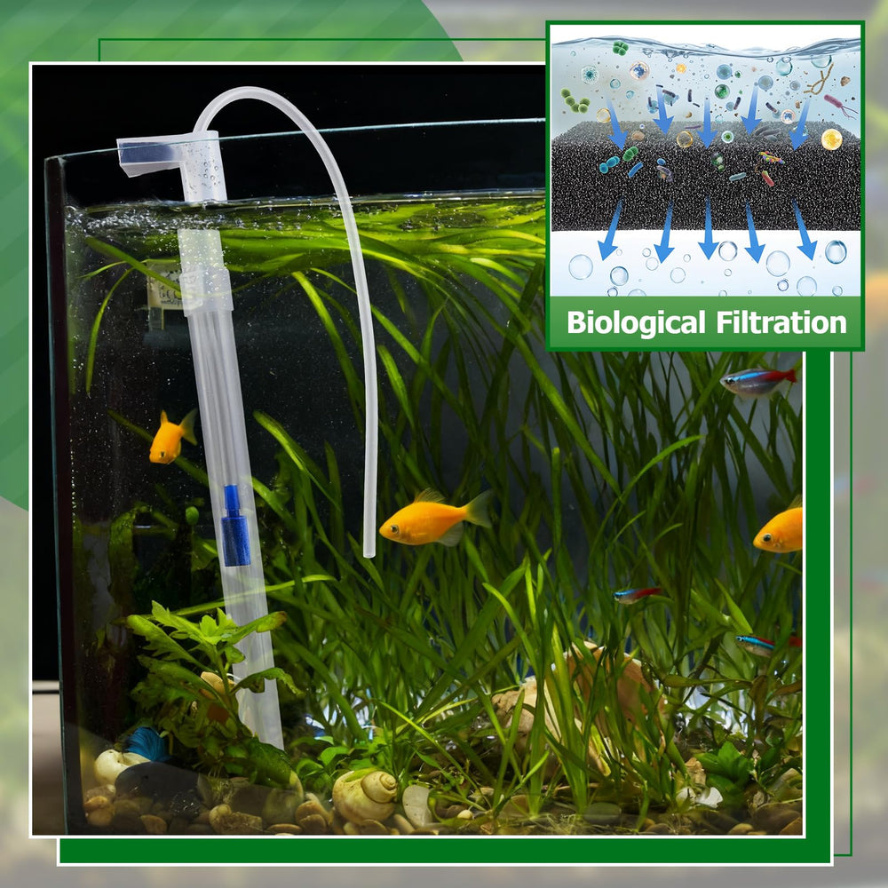Sieral filtre installé dans un aquarium illustrant circulation améliorée et fond propre