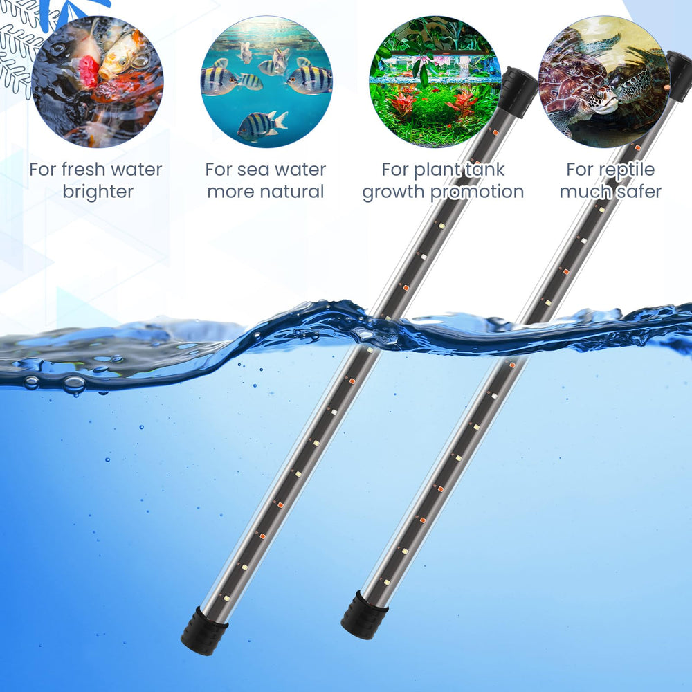 Sieral éclairage LED installé mettant en valeur poissons et couleurs