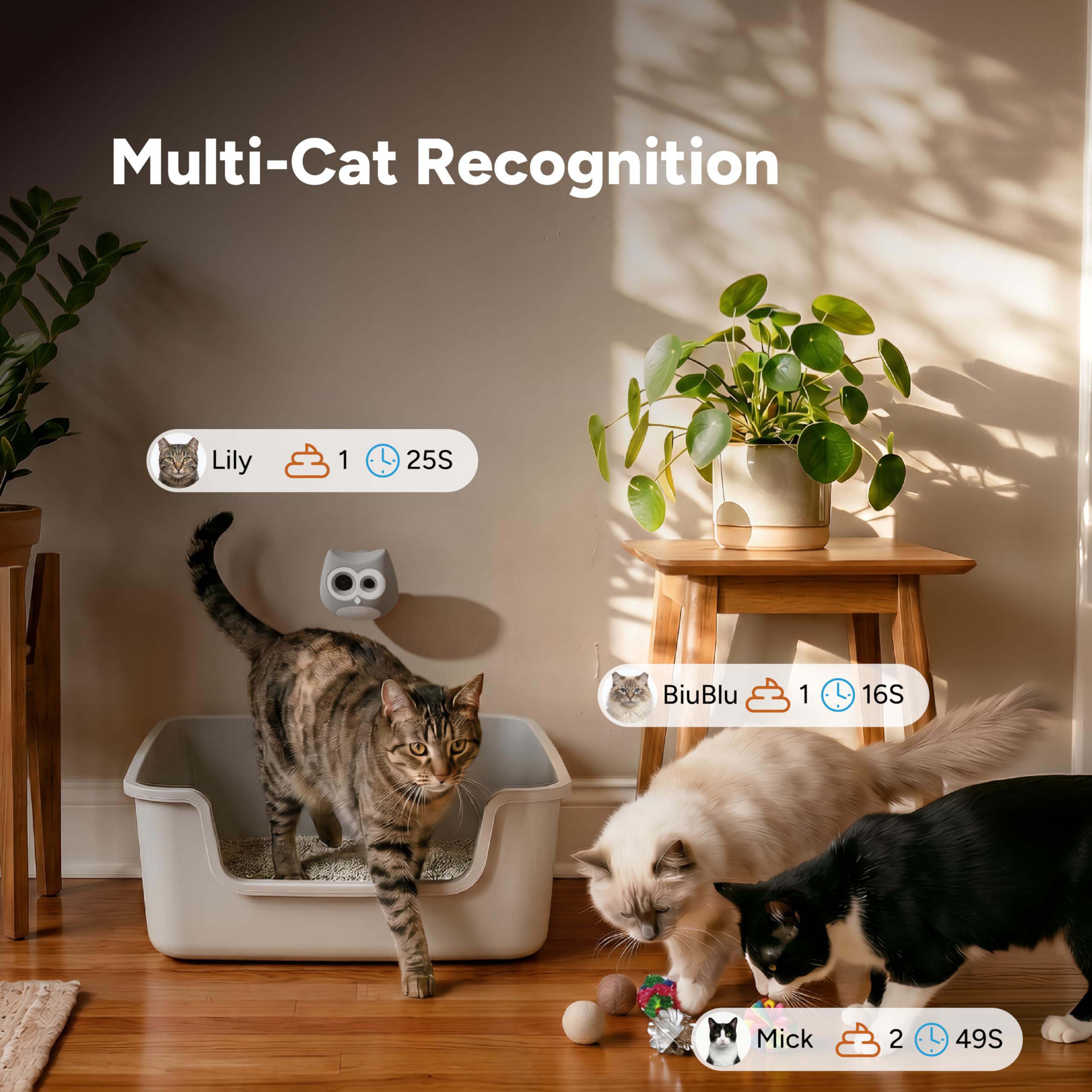 Interface SiiPet montrant profils séparés pour chaque chat pour clarté