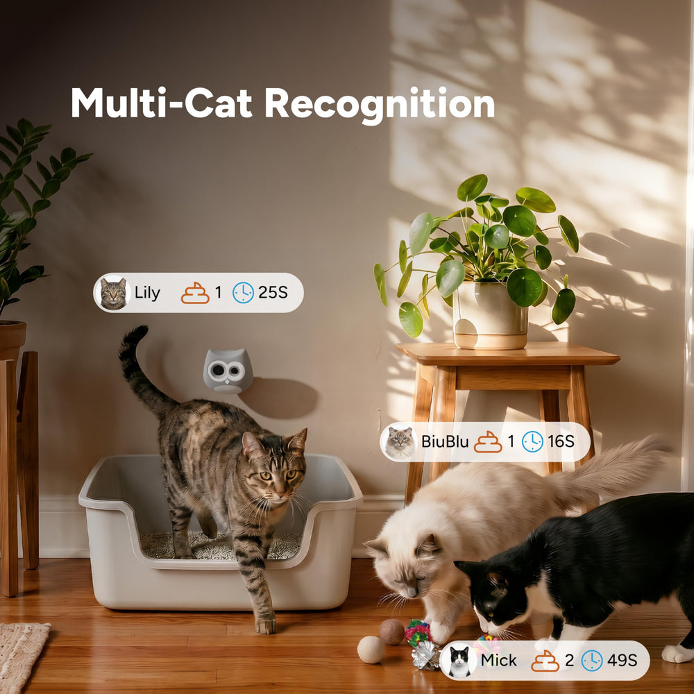 Interface SiiPet montrant profils séparés pour chaque chat pour clarté