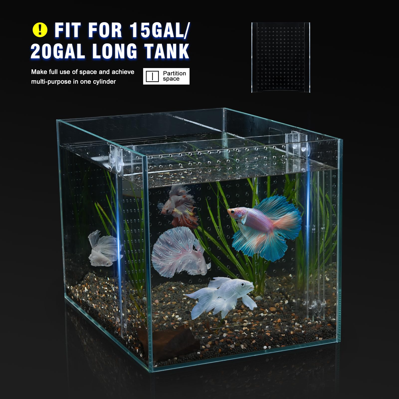 SIKGFPN séparateur en usage dans aquarium créant deux zones visibles