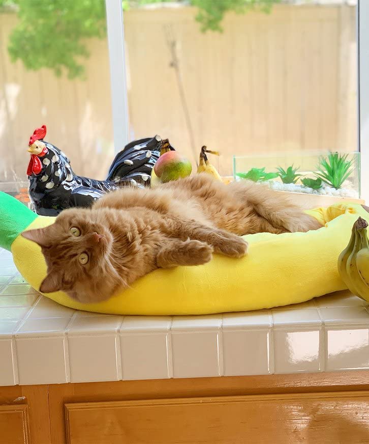 SILICUTE lit banane posé dans salon ajoutant touche déco accueillante