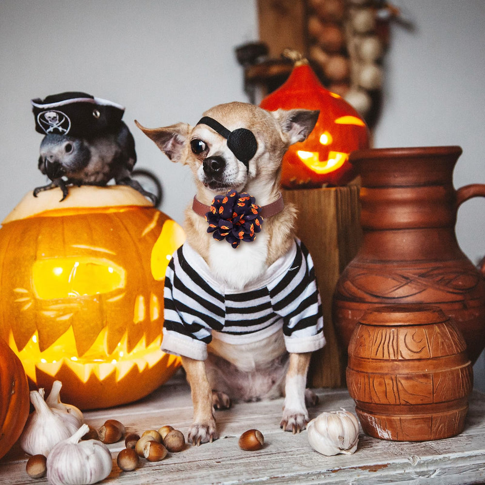 Silkfly chien en fête décoré mettant en valeur style Halloween