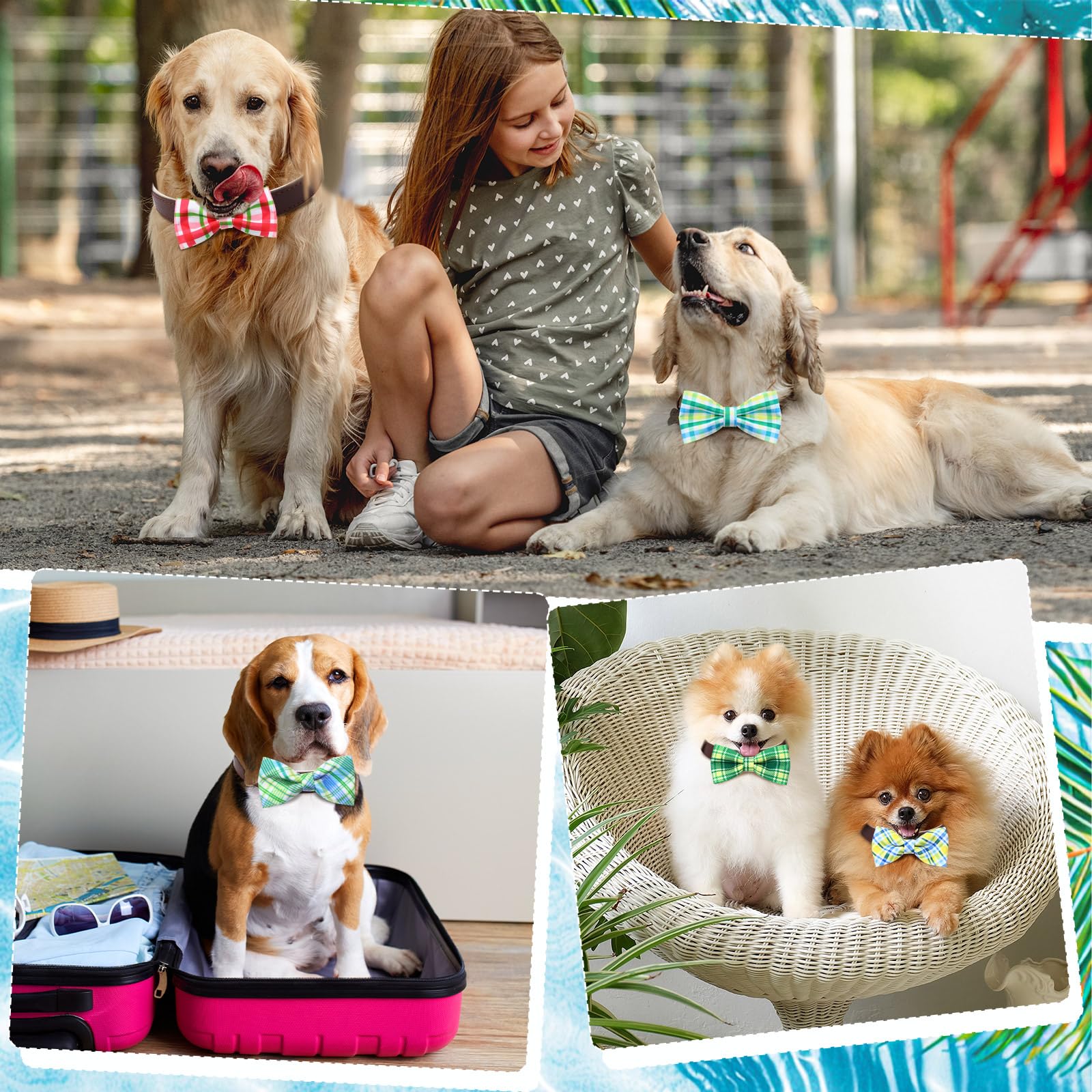 Silkfly nœud porté par chien lors fête apporte look soigné