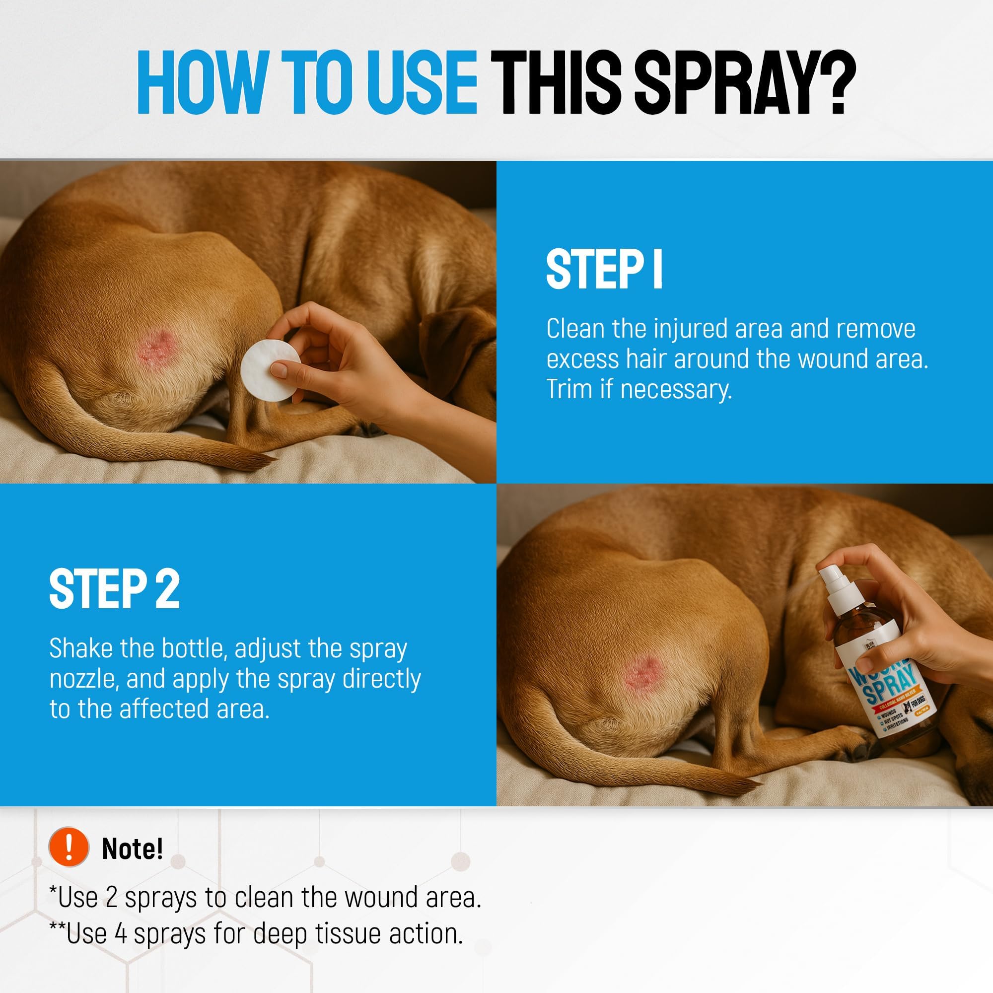 SILVER GRADE application sur épaule de chien pour apaiser irritation