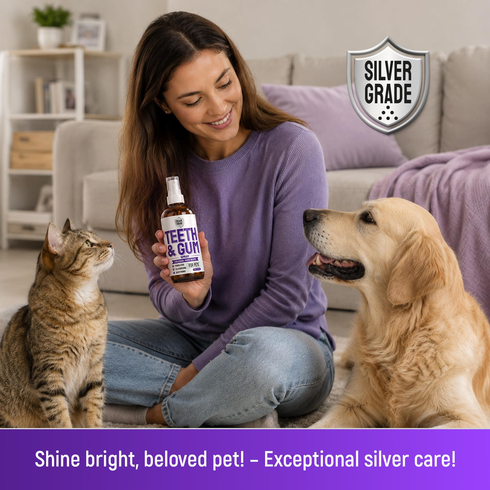 SILVER GRADE style de vie animal relaxé après application quotidienne