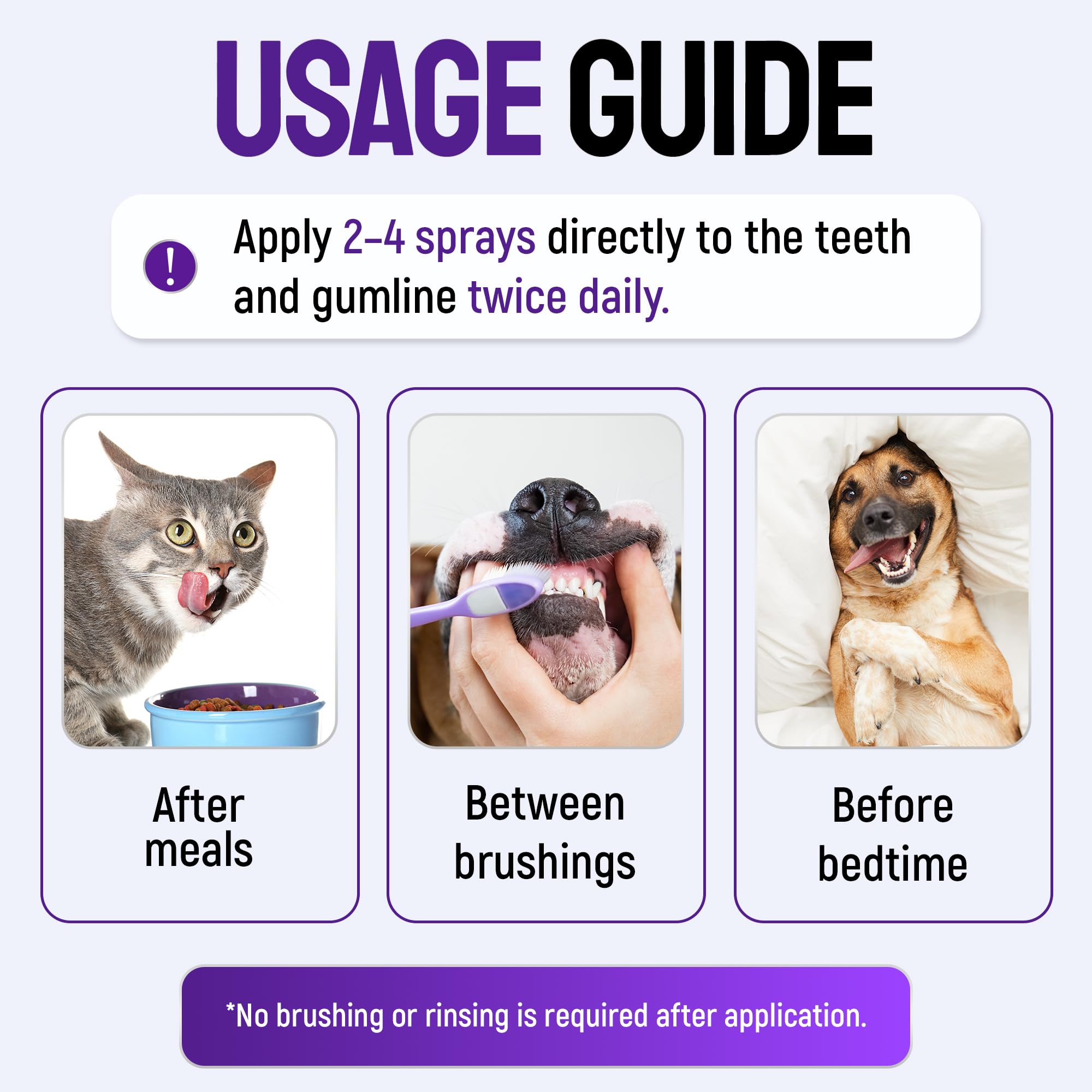 SILVER GRADE utilisation chez chat réduisant odeur et inconfort
