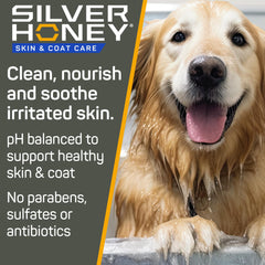 Silver Honey gros plan sur la pompe, bénéfice application facile