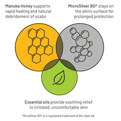 Silver Honey texture du spray montrant une absorption rapide