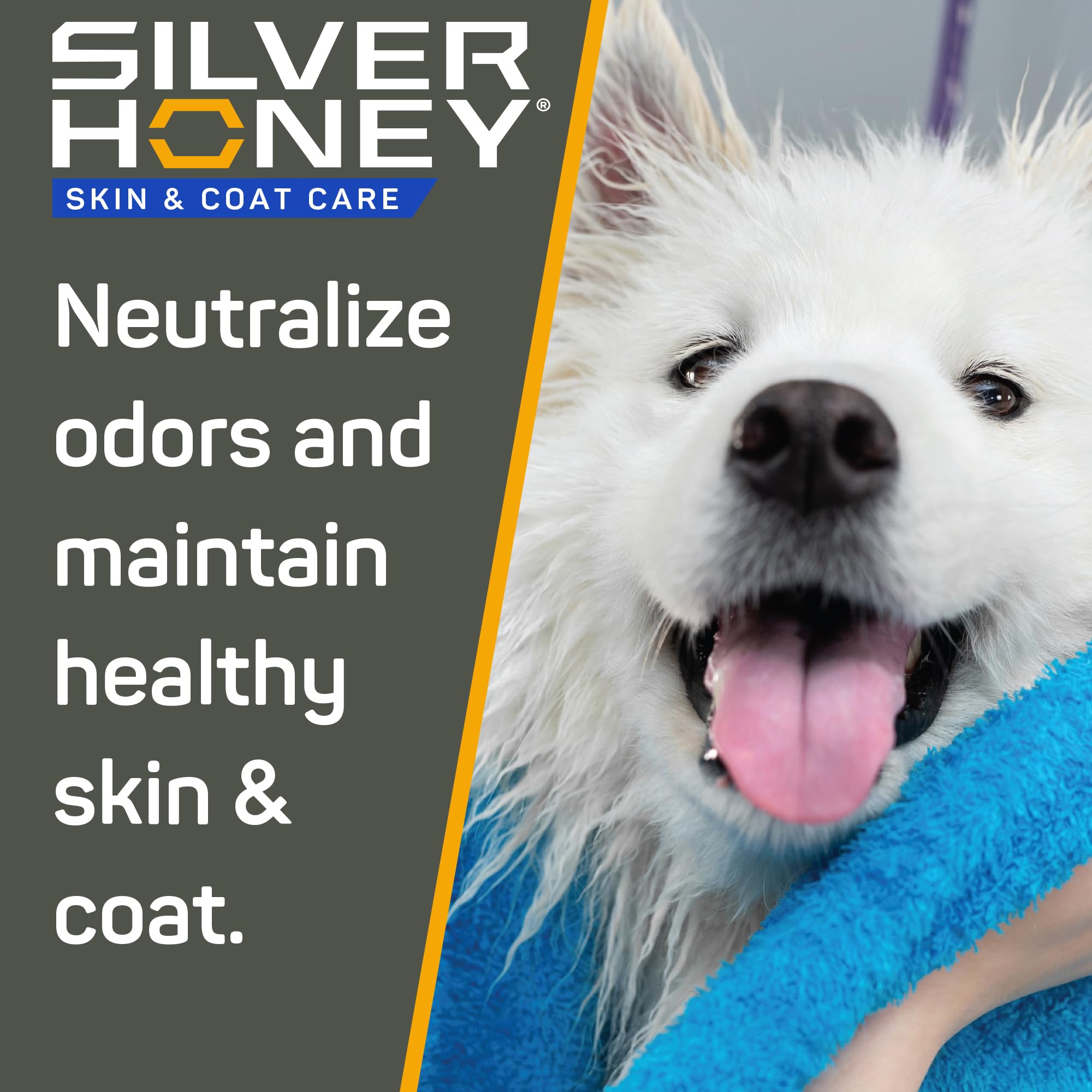 Silver Honey application sur chien après shampooing, bénéfice pelage démêlé