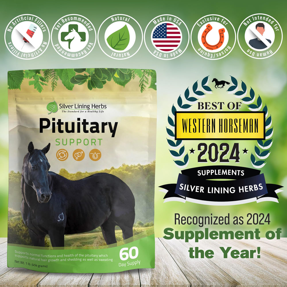 Silver Lining Herbs sac à côté d'un cheval montrant l'échelle et le dosage