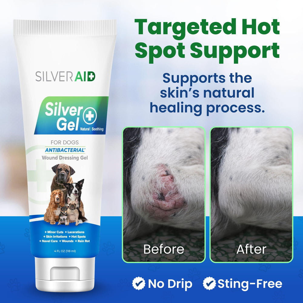 SilverAid tube ouvert détail de l'embout pour application précise