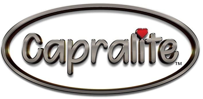 Silverline by Capralite rangement compact dans boîte à outils pour facilité d'accès