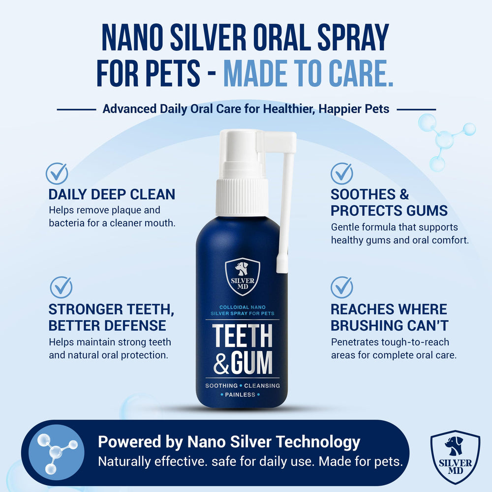 SilverMD spray en usage sur chat pour soutien doux des gencives
