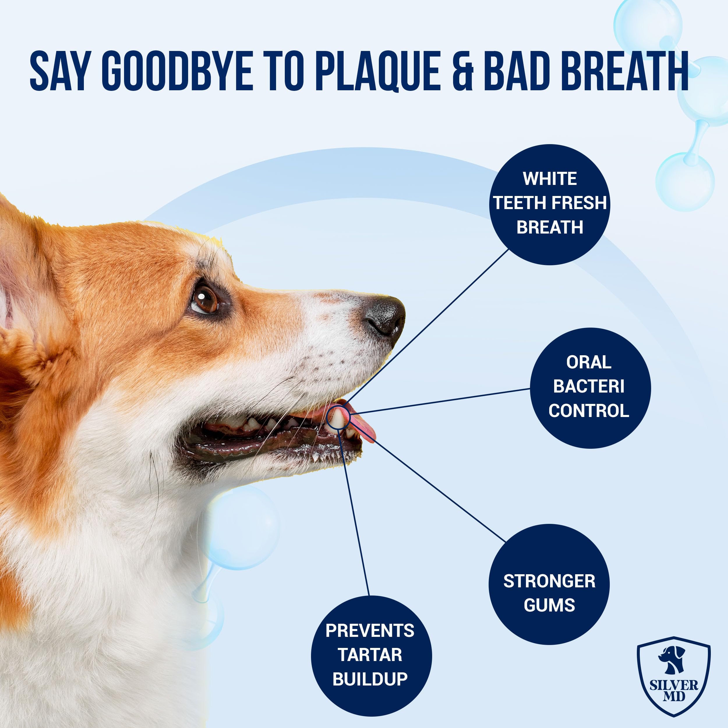 SilverMD spray en usage sur chien pour haleine fraîche immédiate