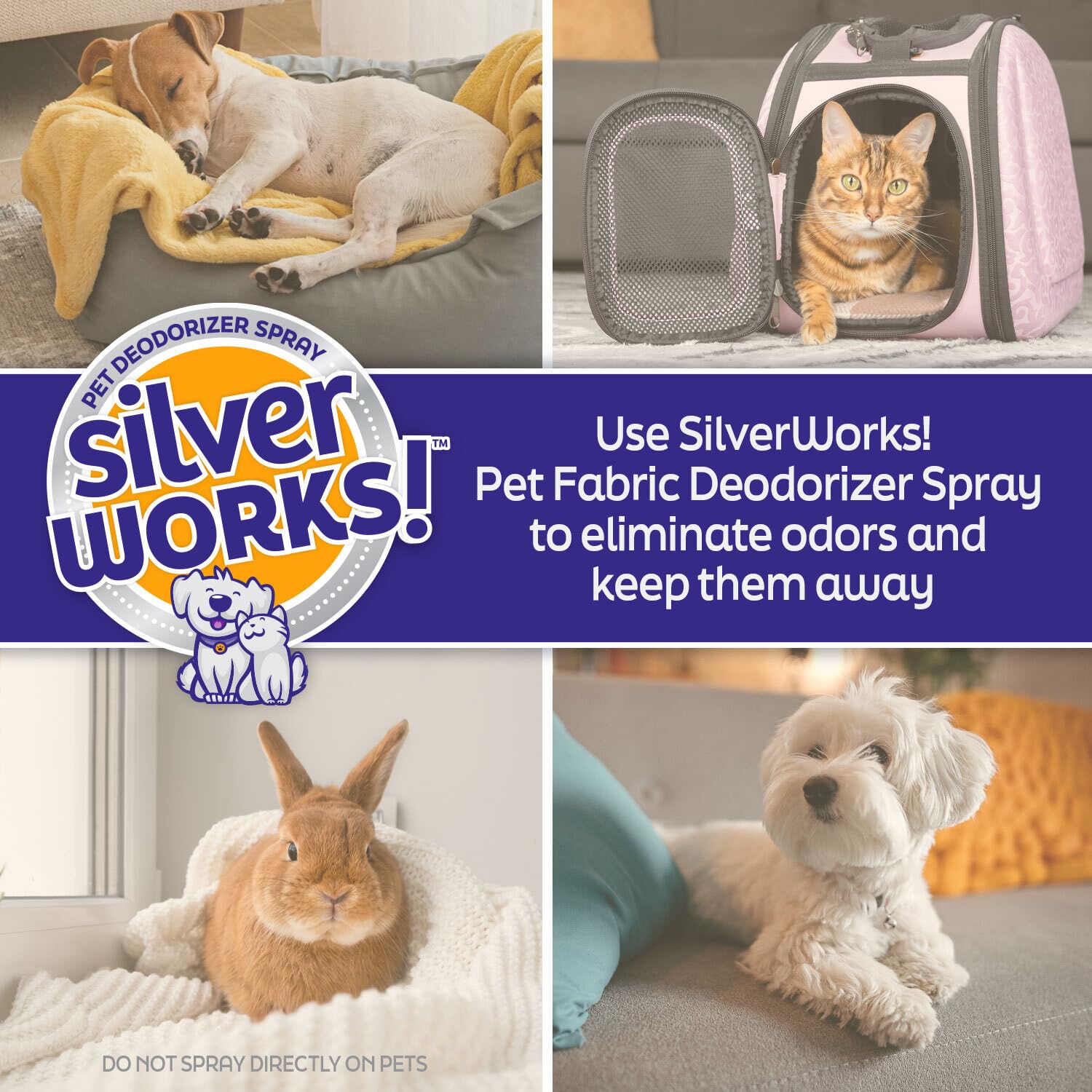SilverWorks! scène intérieure maison fraîche illustrant résultat propre et accueillant