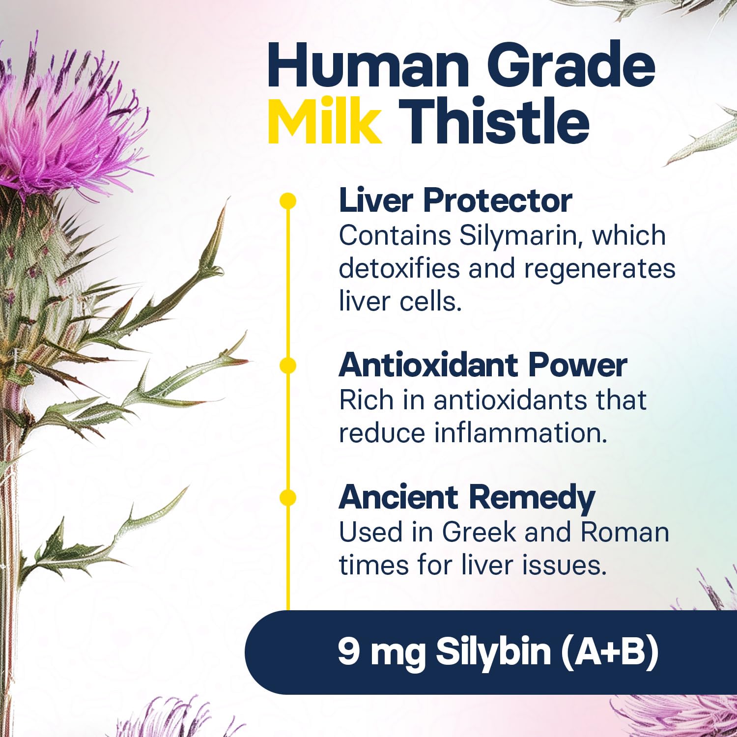 SilymarinAdvanced chien petit type jouant, soutien de la vitalité visible