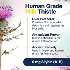 SilymarinAdvanced chien petit type jouant, soutien de la vitalité visible