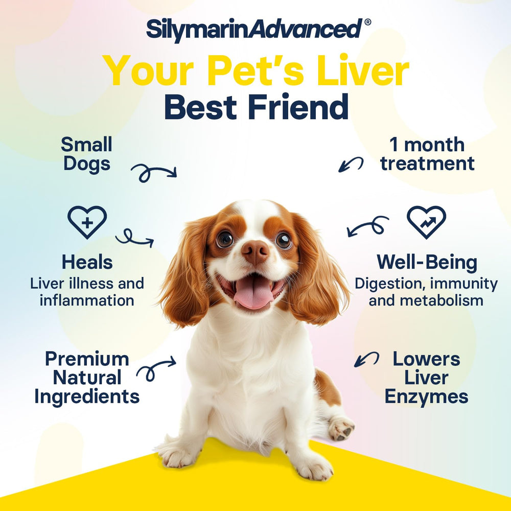 SilymarinAdvanced plusieurs tablettes montrant quantité et prise quotidienne
