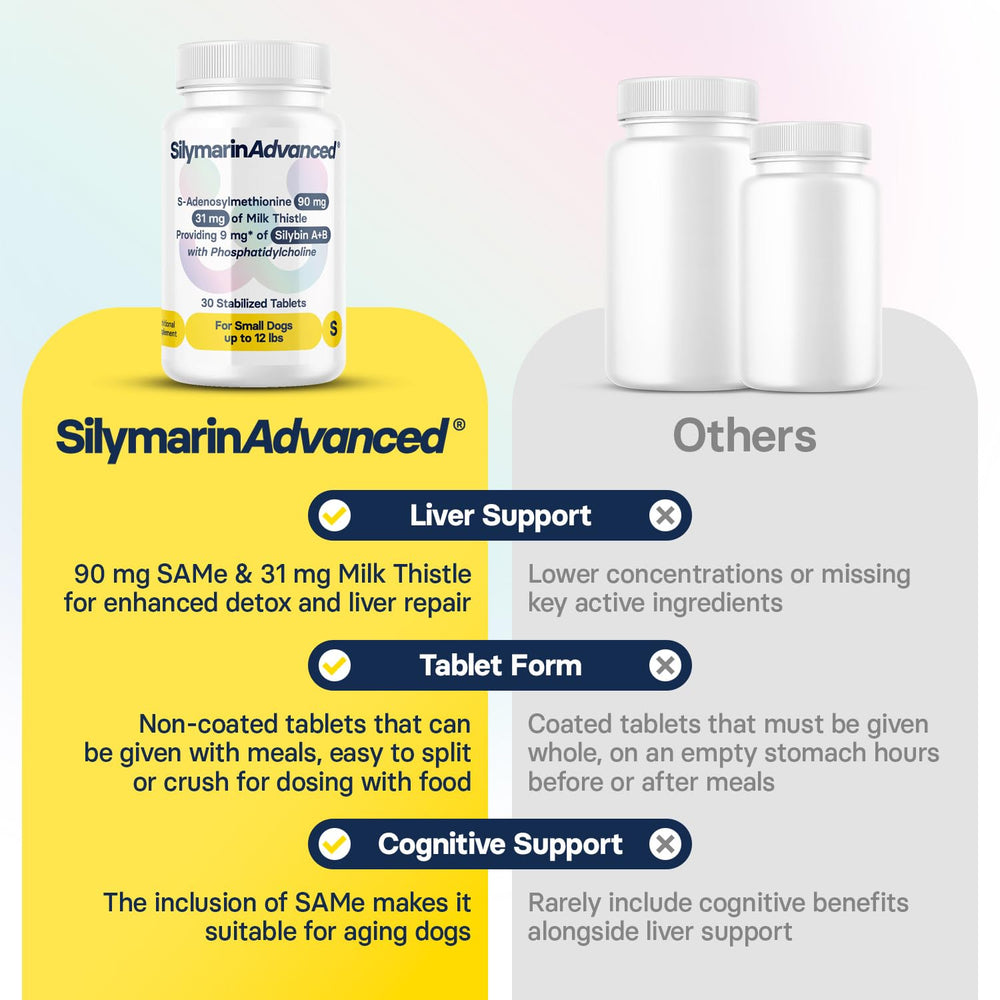 SilymarinAdvanced vétérinaire donnant un comprimé, confiance professionnelle