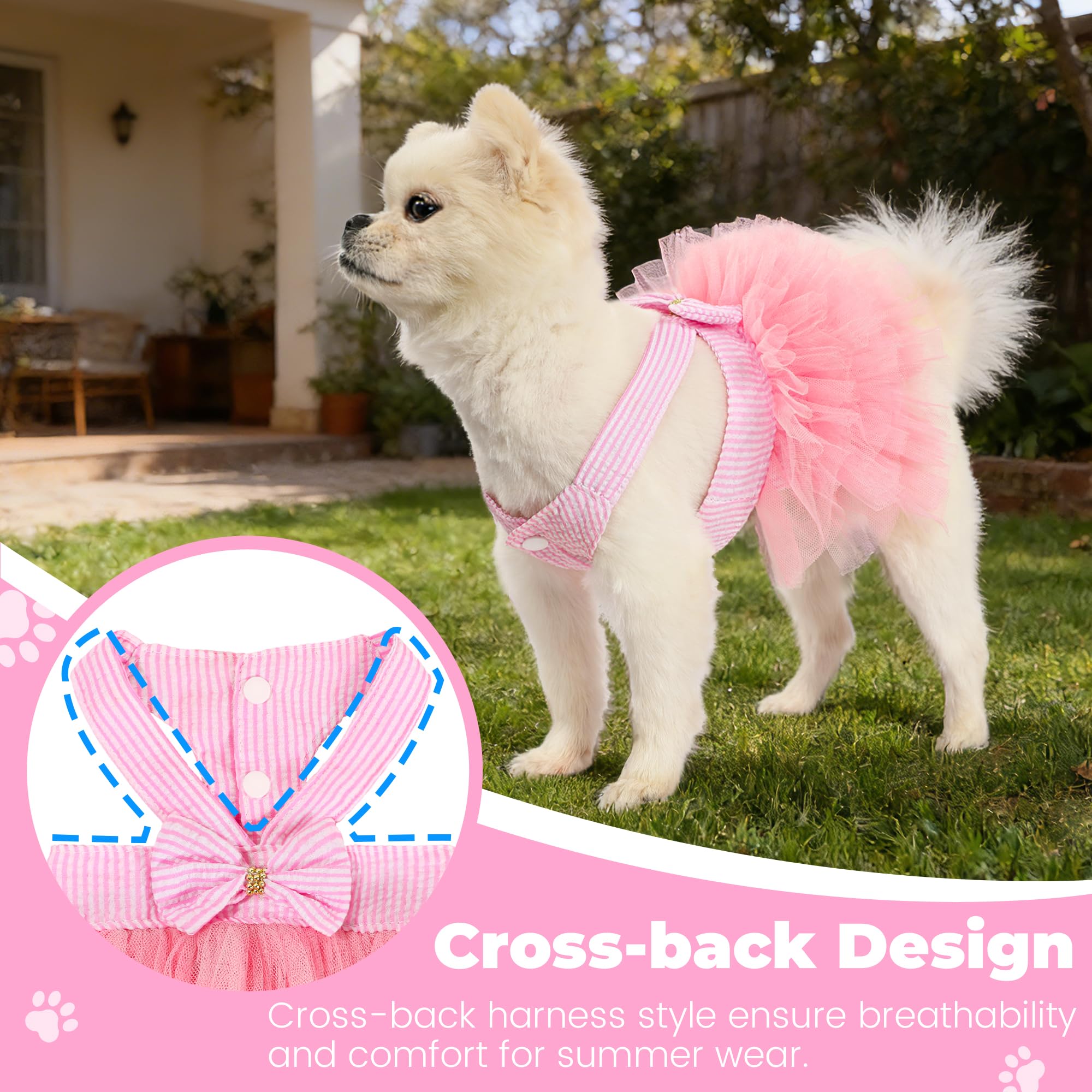 SIMCAPY robe portée lors d'un photoshoot mettant en valeur le chien