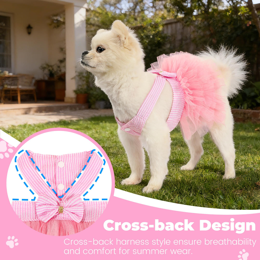 SIMCAPY robe portée lors d'un photoshoot mettant en valeur le chien