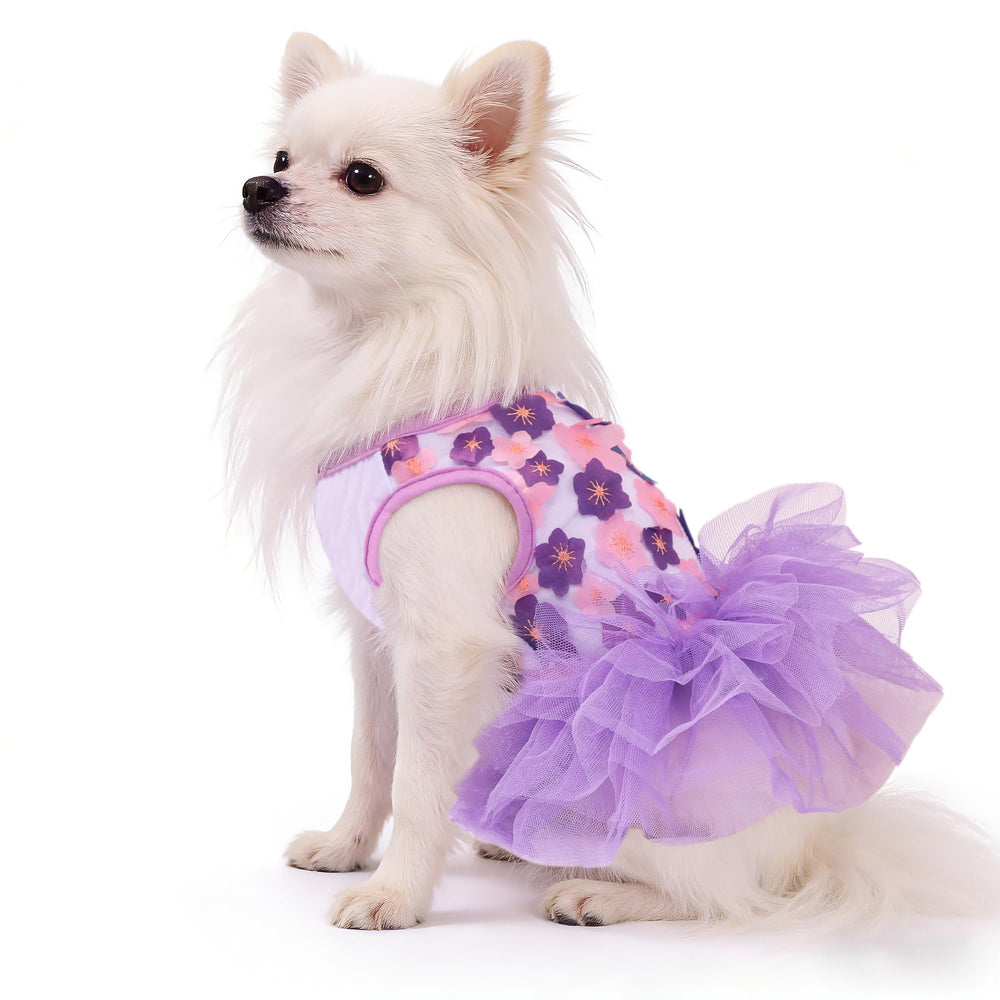 SIMCAPY robe portée en extérieur idéale pour photos et événements