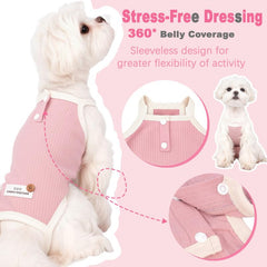 Simloyal petit chien assis porte la combinaison pour mobilité sécurisée